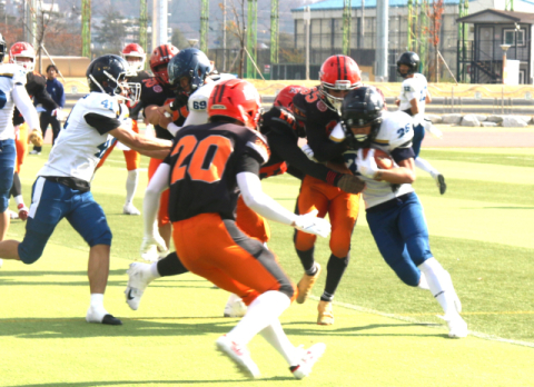 경북대와 경일대, 전국 대학 미식축구 결승 진출 좌절