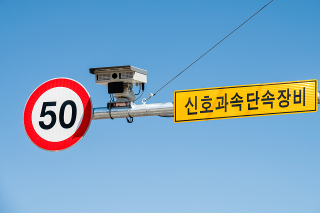 과속단속 격분, 단속카메라 뜯어간 '황당 60대' 벌금형