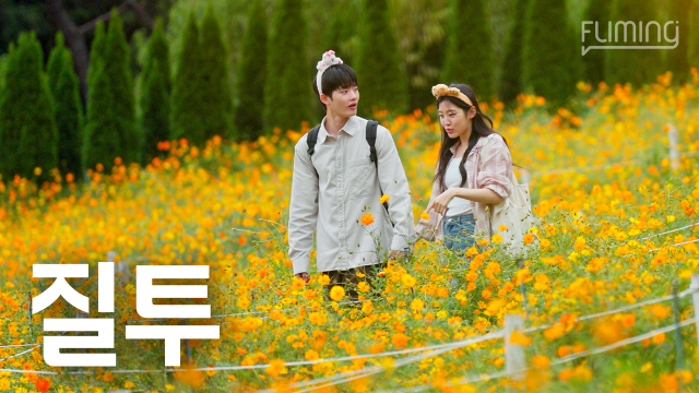 풀리밍 썸네일. 대구문화예술진흥원