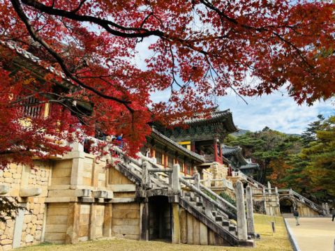 경주를 찾는 이유 연령대별 차이 뚜렷…2030은 체험, 40대 이상은 문화·역사 탐방 중심