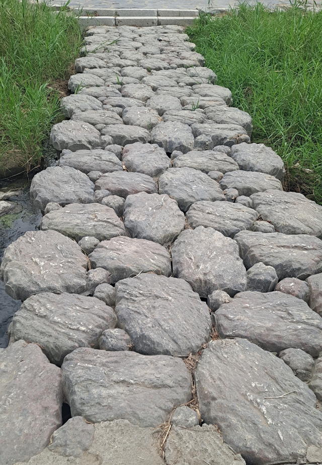 [함께 꿈꾸는 시] 김정아 '흉터'