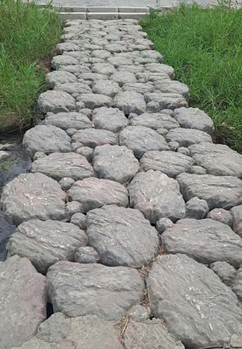 [함께 꿈꾸는 시] 김정아 '흉터'