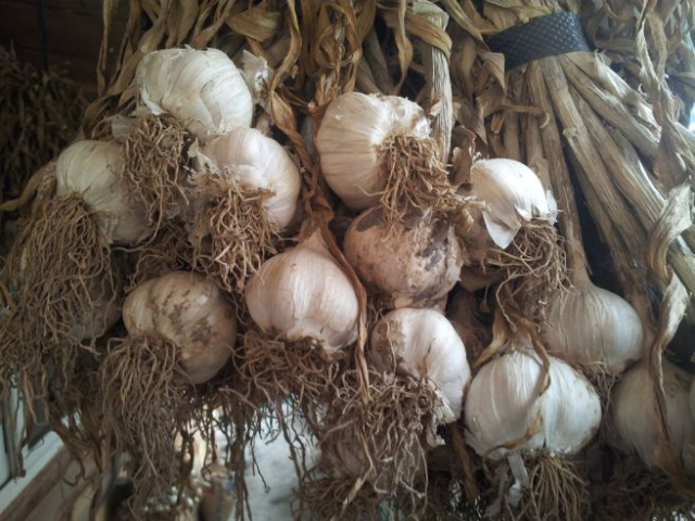 [함께 꿈꾸는 시] 김종태 '유언遺言'