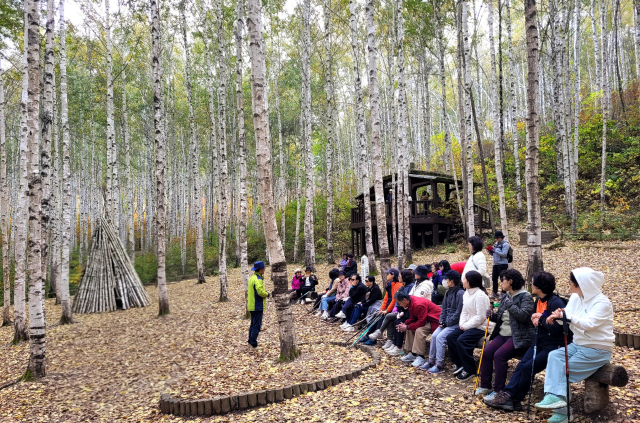 인제 원대리 자작나무숲에서 숲해설가의 설명을 듣는 관광객들.사진제공=인제국유림관리소