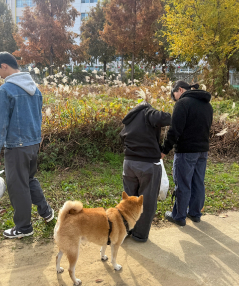 영진전문대 동물보건과 '애니션', 반려견과 함께 펫깅 봉사 진행