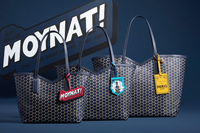 모이나 M 캔버스