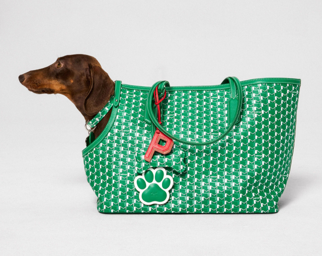 M 캔버스 펫 컬렉션