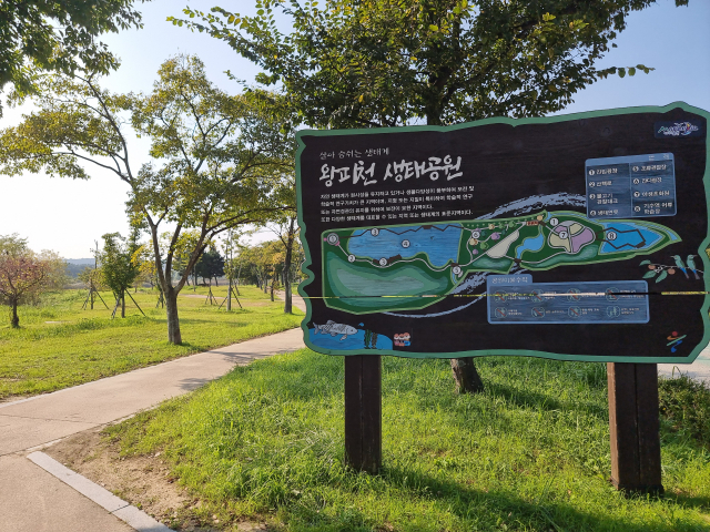 코레일관광개발의 놀숲패스 시범투어 울진 코스 방문지 중 