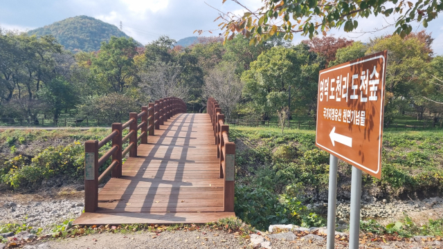 코레일관광개발의 놀숲패스 시범투어 영덕 코스 방문지 중 