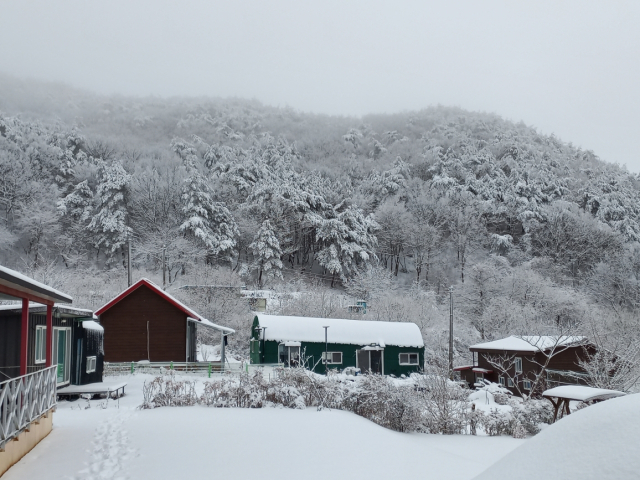 김아가다 수필가 