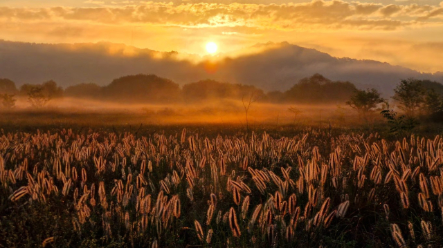 갤럭시 공모전 대상(구미) 작품 