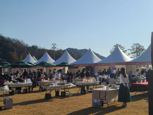 선비세상 잔디광장에서 열린 2025 주주주 페스티벌 배추전 경연대회 참가자들이 전을 부치고 있다. 영주문화관광재단 제공