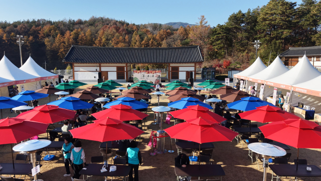 2025 주주주 페스티벌이 열린 영주 선비세상 잔디광장 전경. 영주문화관광재단 제공