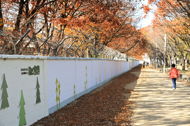 달성군은 하빈으로 이전한 옛 대구교도소 부지를 주민들에게 돌려주기 위해 교도소 주벽 바깥 공개공지에 야간경관 특화거리와 도시숲 