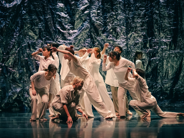 최댄스컴퍼니 공연 사진