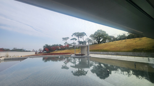 지하1층 마지막 전시실을 나오면 큰 창으로 펼쳐지는 물의 정원과 소나무 언덕.