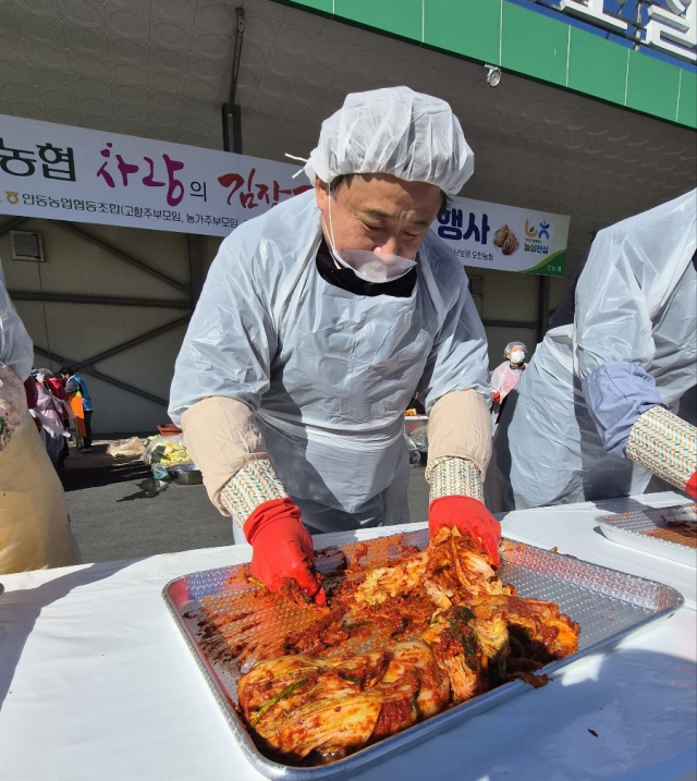 안동농협 김장 김치 담그기 행사.