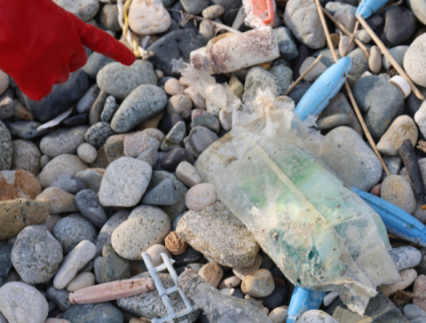 영덕 해안에서도 마약류 발견돼