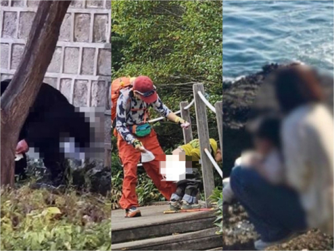 올해만 벌써 몇 번째?…'싸고 또 싸고' 중국인 배변 테러에 관광지 몸살