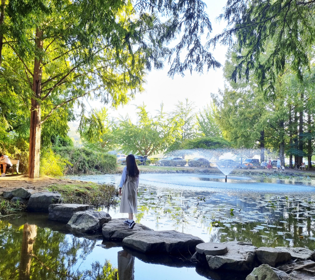 오는 12월부터 출입이 한시적으로 차단되는 안동 낙강물길공원 모습. 안동시 제공