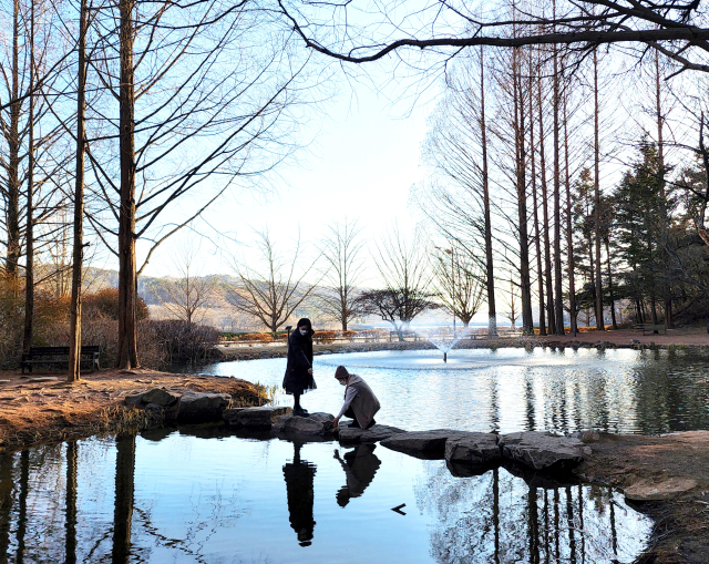 오는 12월부터 출입이 한시적으로 차단되는 안동 낙강물길공원 모습. 안동시 제공