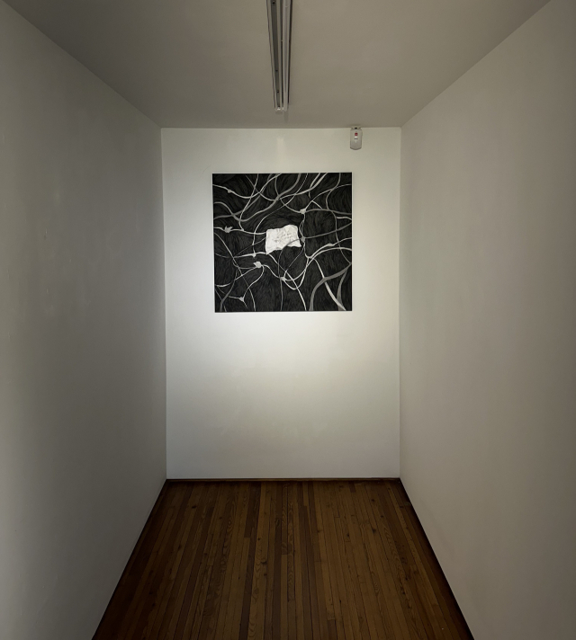 곽명희 개인전이 열리고 있는 갤러리토마 전경. 작가 제공