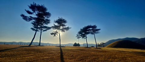 [우리들의 고향 의성] <16> 인구소멸위기 의성의 도전
