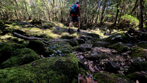 [김도훈 기자의 아웃도어 라이프] 한라산 둘레길 이렇게 준비하세요
