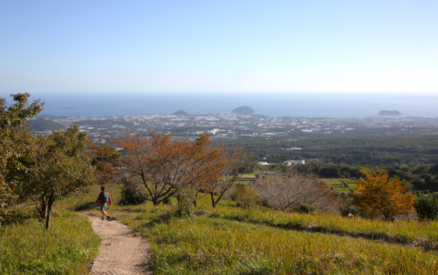 4구간 동백길이 끝날 무렵 남쪽으로 시야가 트였다. 서귀포 시내와 섶섬이 보인다. 김도훈 기자