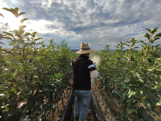 최대 농경지 경북, 고령화로 농가 축소… 농가인구 절반이 '고령'