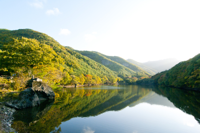 '관로 매설공사 여파'…주산지 12월부터 한 달 전면 통제