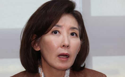 檢 '패트 충돌' 항소 포기…나경원 등 국힘 6명 의원직 유지