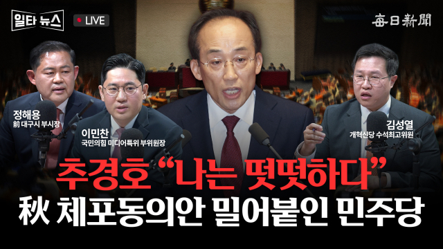 매일신문 유튜브 