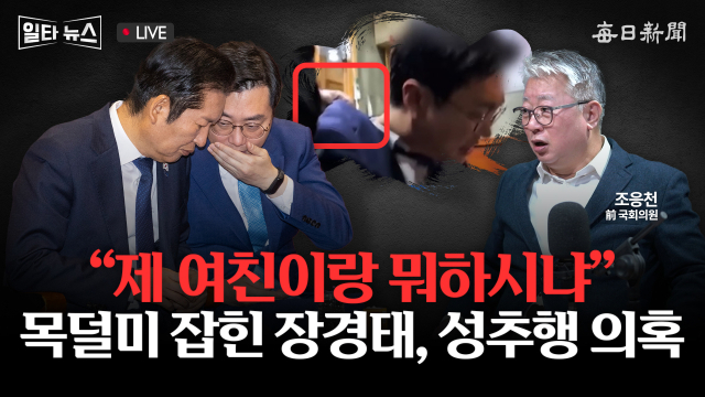 매일신문 유튜브 