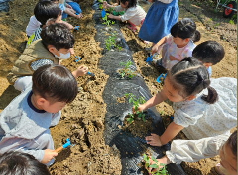 율빛유치원, 방과후과정 우수사례 교육부장관 표창 수상