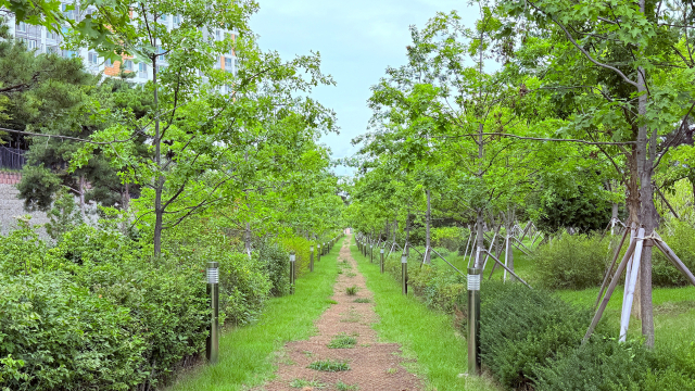 경북 구미시는 지난 27일 산림청이 주관하고 전국 지자체를 대상으로 한 