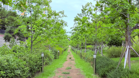 구미시, '녹색도시 우수사례' 기후대응숲 분야서 전국 1위