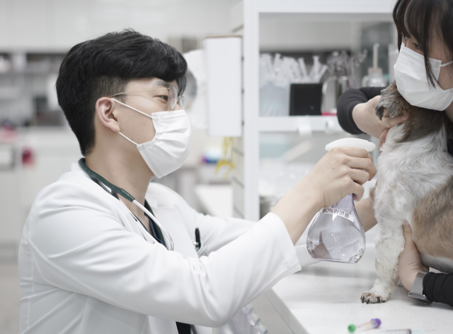 이세원 대구 바른동물의료센터 원장이 강아지를 진료하고 있다.바른동물의료센터 제공