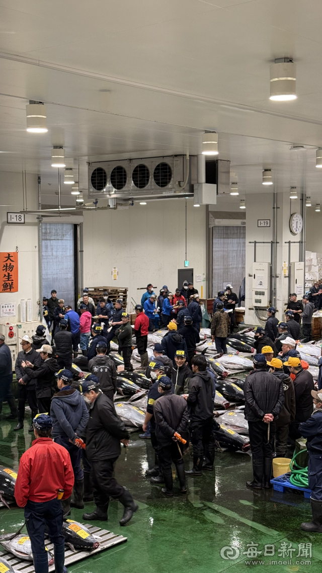 일본 도쿄도 고토구 도요스 시장 수산물 도매동 모습. 2025.11.26. 홍준표 기자