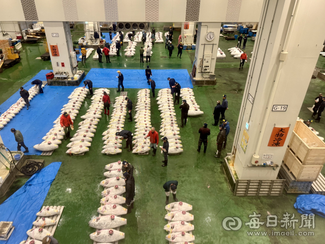 일본 도쿄도 고토구 도요스 시장 수산물 도매동 모습. 2025.11.26. 홍준표 기자