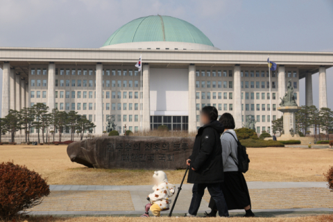 [비상계엄 1년] 쏙 들어간 '개헌'…기득권 포기 않는 與