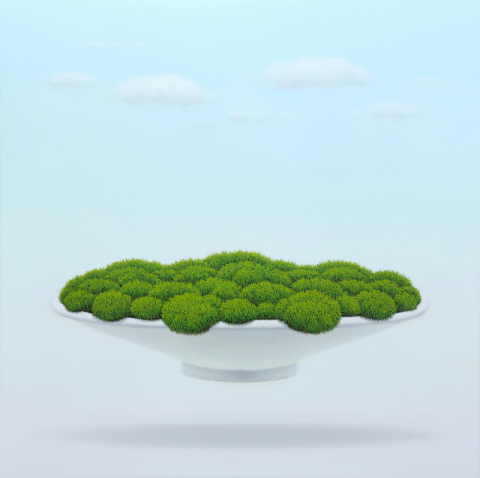 양종용, 그릇이끼