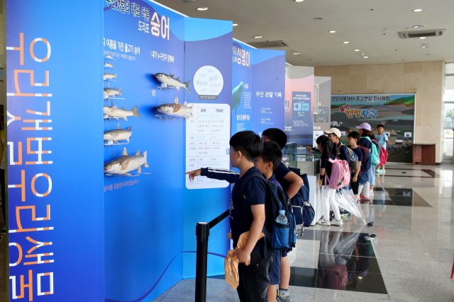 무안생태갯벌과학관을 찾은 탐방객들이 과학관에 전시된 어류 모형을 살펴보고 있다.