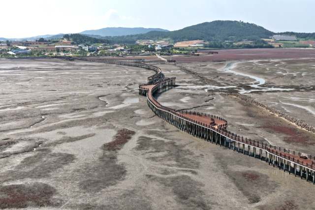무안황토갯벌랜드는 청정갯벌 생태자원의 체계적인 보전 관리와 관광 자원화를 통한 지역경제활성화에 이바지하고 있다. 최근 바다 위 다리를 걸으며 갯벌의 생태를 가까이서 체험할 수 있도록 국내에서 가장 긴 목재 해상 보행교를 설치했다. 무안군 제공