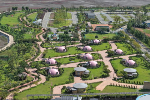 [팔도 핫플레이스] 무안갯벌