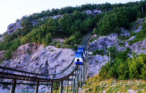 '화성동탄'서 가출한 위기의 학생…울릉서 찾아 