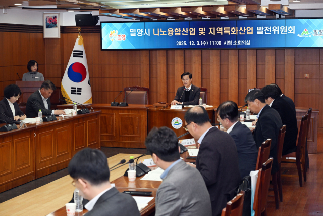 3일 밀양시청 소회의실에서 열린 나노융합산업 및 지역특화산업 발전위원회 회의 모습.