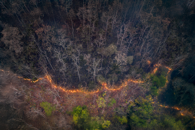 기후 변화 관련 이미지. 게티이미지뱅크