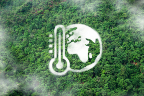 지구가 뜨겁다면, 우리도 다르게 살아야 한다