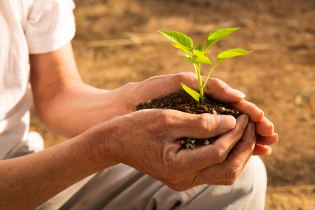 기후 변화 관련 이미지. 게티이미지뱅크